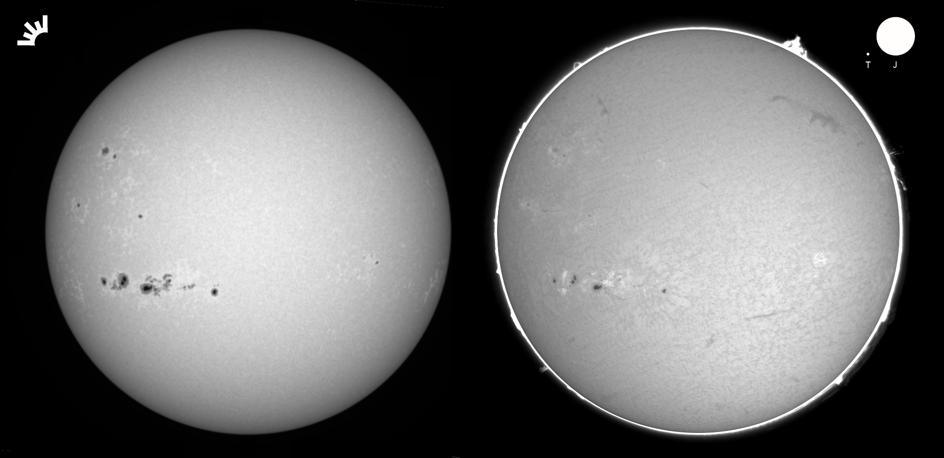 ¿Qué podemos observar?